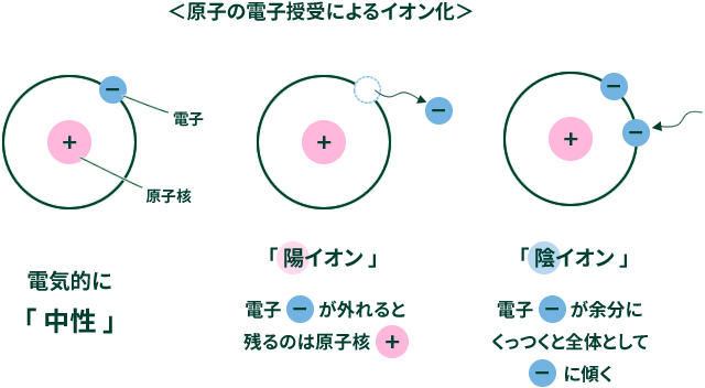 理科ノート 有限会社ターナープロセス